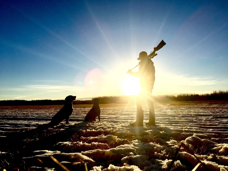 Best Hunting Rifles I’ve Ever Owned (Top 3 rifle reviews)