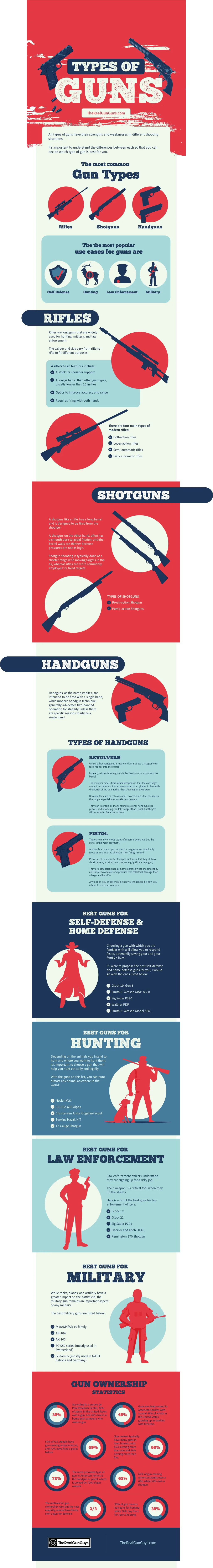 Types of Guns Infographic